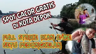 MANCING LIAR‼️GAK DIKASIH ISTIRAHAT, SETU PEDONGKELAN MEMANG MENGGODA