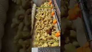 Ginger cleaning  peeling machine