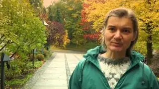 Selbitz: communitär