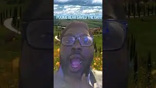POOKIE BEAR SAVED THE DAY!! #nfl #nflplayoffs #foryou