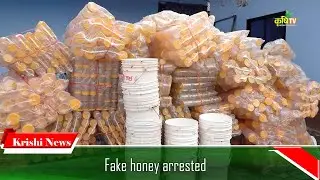Fake honey arrested