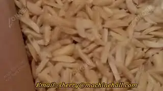 Automatic Peanut Strip Cutting Machine | Almond Slivered Machine