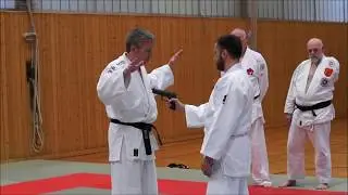 Wie verteidige ich mich gegen Bedrohungen mit einer Pistole? Abwehr von Pistolenbedrohungen - JJU NW