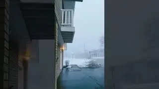 Fog and snow ❄️ what the fog