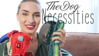 What You Need Before Bringing Pup Home: The Necessities