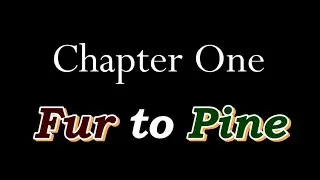 From Fur to Pine Video