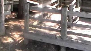 20100511 102108