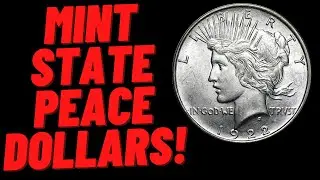 Starting A Mint State Peace Silver Dollar Set!