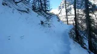 Bernie runs around Trapper's Lake