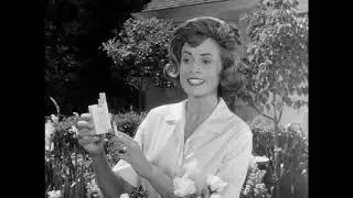 Raleigh cigarettes - 1962 Cigarette Ad Housewives