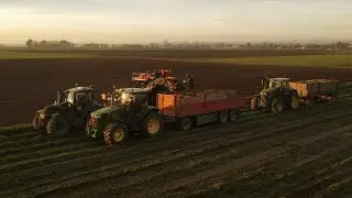 Karotten roden | Cinematic Werbefilm (4K) | Labra Media