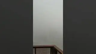 #winter##Jaipur##Fog##2024##climate ##rajasthan#December##morning##outside#
