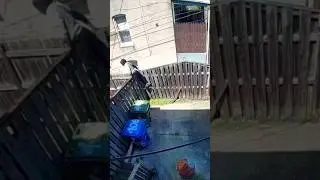 Baltimore Man Locks Himself In A Backyard #shorts #baltimore #maryland