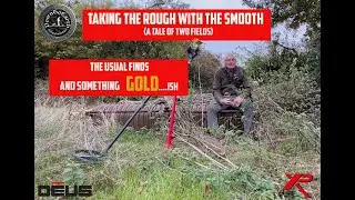 A tale of two fields