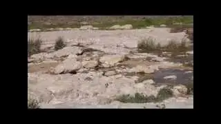 wadi Akev