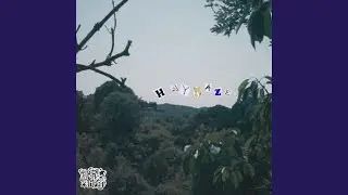 Haymaze
