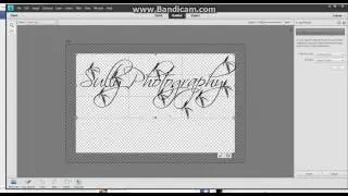 Creating A Custom Watermark - PSE 11 Tutorial