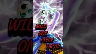 Did You Catch These Hidden One Piece Secrets?