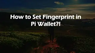 How to Set Fingerprint in Pi Wallet?!