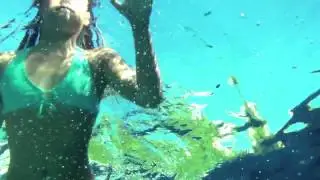 Shark Attack~(A Jaws Parody)