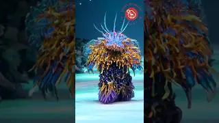 Ocean Creatures' Creative Clash🌊🐬 #fashionshow #runway #model #aiart #ocean #creatures