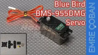 Blue Bird / BMS-955DMG Servo
