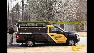 Critter Control - Rat Removal