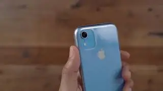 iPhone 11 Cases LEAKED!