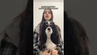 Погладила