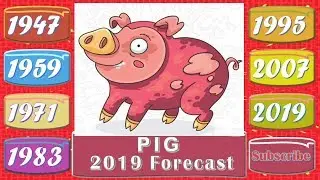Pig Horoscope 2019 | Born 1947, 1959, 1971, 1983, 1995, 2007, 2019