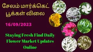 Find Daily Flower Market Updates Online | இன்றைய பூ மார்க்கெட் நிலவரம் | சேலம் பூ மார்க்கெட் | Salem