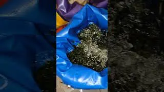 Von Bl&uuml;ten zu Gold Bubble Hash Edition #grow  #icecream  #frozen #nature