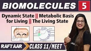 Biomolecules 05 || Dynamic State || Metabolic Basis for Living || Class 11/NEET || RAFTAAR