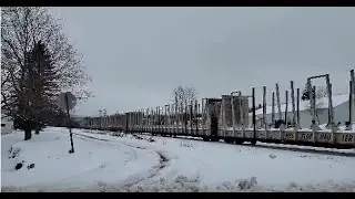 There Are Mega Mega-Log-Haulers On This Train!  | Jason Asselin