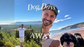 8 Days, 4 Provinces, 1 Dog 🐾 | Atlantic Canada Road Trip