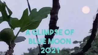 A GLIMPSE OF BLUE MOON 2021-time lapse bluemoon down                     #bluemoon#august2021