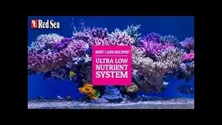 Sistema de bajos nutrientes / Receta Reef Care