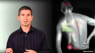 6 Explaining Chronic Pain with Details.mov