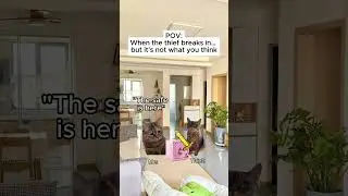 CAT MEMES 🐱 when the thief breaks in&hellip; but it&rsquo;s not what you think #shorts #catmemes #relatable