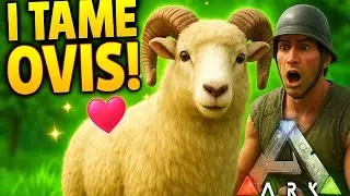 How to Tame OVIS in ARK Mobile Ultimate Edition 🐑 | Rare Dino Location + Sweet Veggie Cake Guide