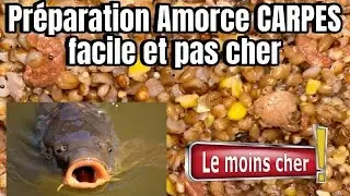 TUTO: Comment faire une amorce &agrave; carpe facile !