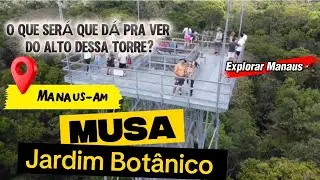 Subi na torre mais alta de Manaus e me surpreendi com a vista!
