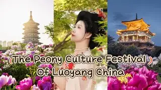 Travel Vlog｜The Peony culture festival of luoyang China｜Henan&mdash;luoyang｜2025