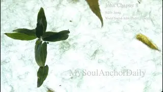 John Chapter 8 &mdash; Bible Song
