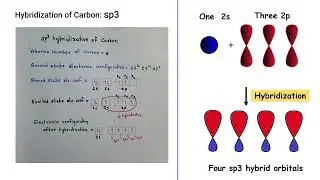 Hybridization of Carbon: sp3, sp2, sp