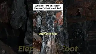 What does the Chernobyl Elephant's Foot smell like?
