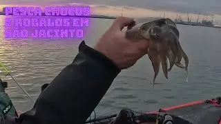 Pesca em SãoJacinto aos Chocos e Robalos