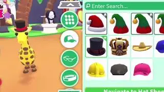 New Accessories For Pets 🎩In Adopt Me / New adopt me Pet Hats  Roblox