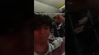 Un problema menos - Hay un hongo que puede comer plastico.