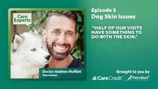Dog Skin Conditions with Dr. Andrew Moffatt